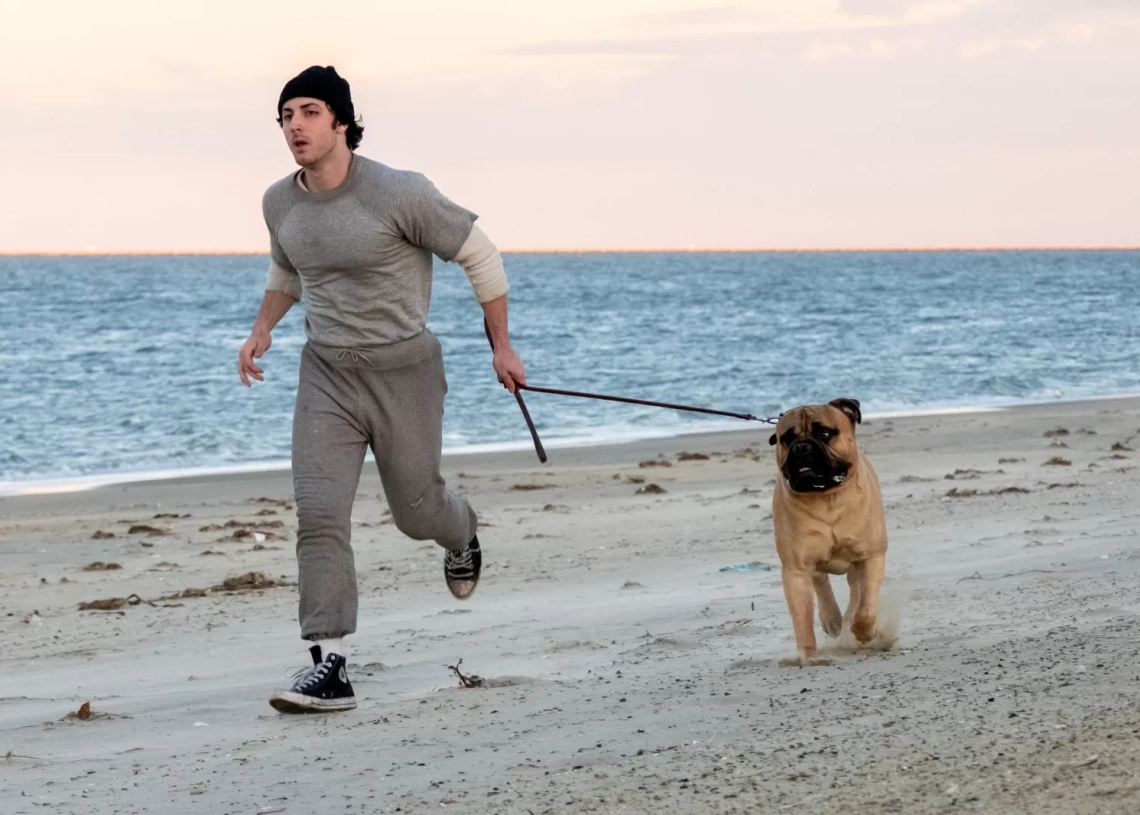نوفمبر القادم...الموعد الرسمي لطرح "I Play Rocky" في دور العرض السينمائية 19 - جريدة المساء