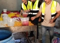 محافظ الغربية: ضبط 2 طن حلوى منتهية الصلاحية داخل مصنع غير مرخص قبل طرحها بالأسواق 30 - جريدة المساء محافظ الغربية: ضبط 2 طن حلوى منتهية الصلاحية داخل مصنع غير مرخص قبل طرحها بالأسواق 29 - جريدة المساء