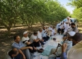 "الزراعة" تواصل إزالة التعديات ودعم المنتفعين وتطهير المساقي وندوات ارشادية 30 - جريدة المساء "الزراعة" تواصل إزالة التعديات ودعم المنتفعين وتطهير المساقي وندوات ارشادية 29 - جريدة المساء