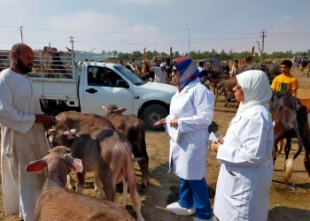 "الزراعة" تكثف الترصد الوبائي لحماية الثروة الحيوانية من خلال 21 ألف زيارة ميدانية 26 - جريدة المساء