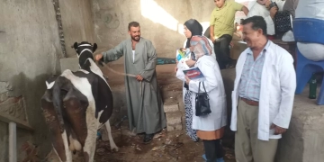 175 لجنة بيطرية تجوب القرى والأسواق لمناظرة أكثر من 26 ألف رأس ماشية للتوعية والوقائية لحماية الإنتاج الحيواني 2 - جريدة المساء 175 لجنة بيطرية تجوب القرى والأسواق لمناظرة أكثر من 26 ألف رأس ماشية للتوعية والوقائية لحماية الإنتاج الحيواني 1 - جريدة المساء
