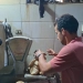 ضربات رقابية بالغربية تسفر عن تحرير 52 محضرًا خلال حملات مكثفة على المخابز 3 - جريدة المساء