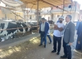 الزراعه : تفقد المنظومة البيطرية بالفيوم لدعم الثروة الحيوانية 21 - جريدة المساء