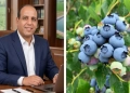 "البلوبيري" ثروة زراعية جديدة تفتح أبواب المستقبل 30 - جريدة المساء