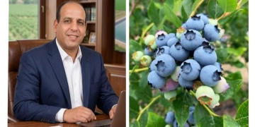 "البلوبيري" ثروة زراعية جديدة تفتح أبواب المستقبل 1 - جريدة المساء