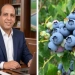 "البلوبيري" ثروة زراعية جديدة تفتح أبواب المستقبل 5 - جريدة المساء