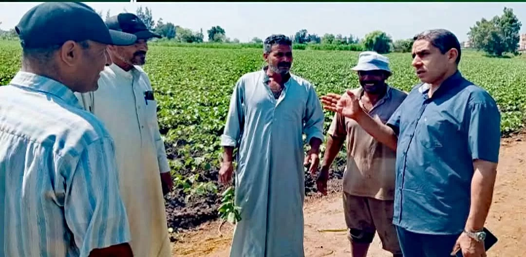جولة ميدانية موسعة لوكيل وزاره الزراعه بكفر الشيخ لدعم المزارعين ومتابعة المحاصيل الاستراتيجية 19 - جريدة المساء جولة ميدانية موسعة لوكيل وزاره الزراعه بكفر الشيخ لدعم المزارعين ومتابعة المحاصيل الاستراتيجية 18 - جريدة المساء