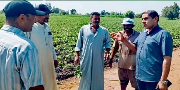 جولة ميدانية موسعة لوكيل وزاره الزراعه بكفر الشيخ لدعم المزارعين ومتابعة المحاصيل الاستراتيجية 2 - جريدة المساء جولة ميدانية موسعة لوكيل وزاره الزراعه بكفر الشيخ لدعم المزارعين ومتابعة المحاصيل الاستراتيجية 1 - جريدة المساء