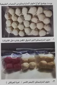 مركز البحوث الزراعية : باحثه تحصد المركز الأول بجائزة رواد الابتكار 2026 بالصناعات الغذائية عن المارشميللو. 21 - جريدة المساء