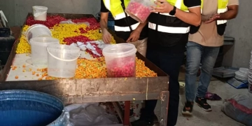 الغربية: ضبط 2 طن حلوى منتهية الصلاحية داخل مصنع غير مرخص 1 - جريدة المساء