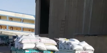 استلام أكثر من 350 ألف طن قمح محلي بالصوامع والشون منذ بداية موسم الحصاد والتوريد ببني سويف. 1 - جريدة المساء