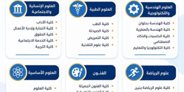 التعليم العالي..انفوجراف لتعريف طلاب الثانوية العامة بالكليات المتاحة داخل كل جامعة حكومية 1 - جريدة المساء