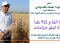 محافظ المنيا: توريد ما يقرب من 535 ألف طن من القمح المحلي خلال موسم 2026 25 - جريدة المساء