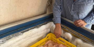 ضبط أكثر من طن من اللحوم والدواجن المخالفة وتحرير 10 محاضر في حملة مكبرة بمركز طنطا 2 - جريدة المساء ضبط أكثر من طن من اللحوم والدواجن المخالفة وتحرير 10 محاضر في حملة مكبرة بمركز طنطا 1 - جريدة المساء