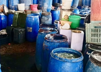 20 طن ملح من غير فواتير.. مباحث التموين تضبط مصنع مخللات بالإسماعيلية 52 - جريدة المساء