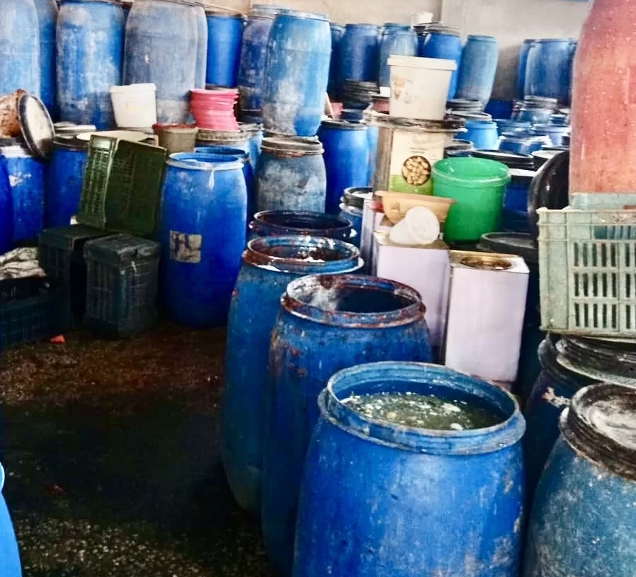 20 طن ملح من غير فواتير.. مباحث التموين تضبط مصنع مخللات بالإسماعيلية 12 - جريدة المساء