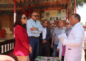محافظة الجيزة تواصل تنفيذ منظومة التكويد الإلكتروني للدواب بالمنطقة الأثرية 28 - جريدة المساء