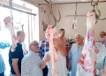 ضبط 100 كجم لحـوم غير صالحة للاستهلاك الآدمي بـ «جنزور» المنوفية 22 - جريدة المساء
