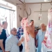 ضبط 100 كجم لحـوم غير صالحة للاستهلاك الآدمي بـ «جنزور» المنوفية 4 - جريدة المساء ضبط 100 كجم لحـوم غير صالحة للاستهلاك الآدمي بـ «جنزور» المنوفية 3 - جريدة المساء