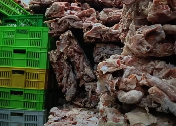 "الزراعة" تضبط 226 طنًا من اللحوم ومنتجاتها الغير صالحه للاستهلاك بمختلف المحافظات 25 - جريدة المساء