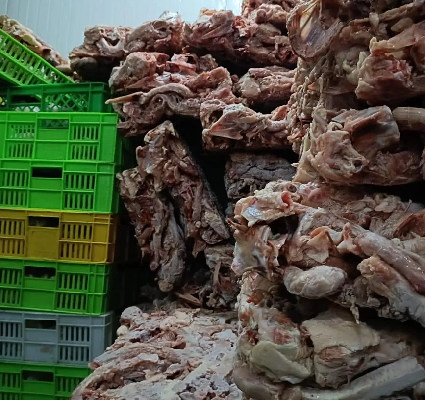"الزراعة" تضبط 226 طنا من اللحوم ومنتجاتها غير الصالحة للاستهلاك 18 - جريدة المساء