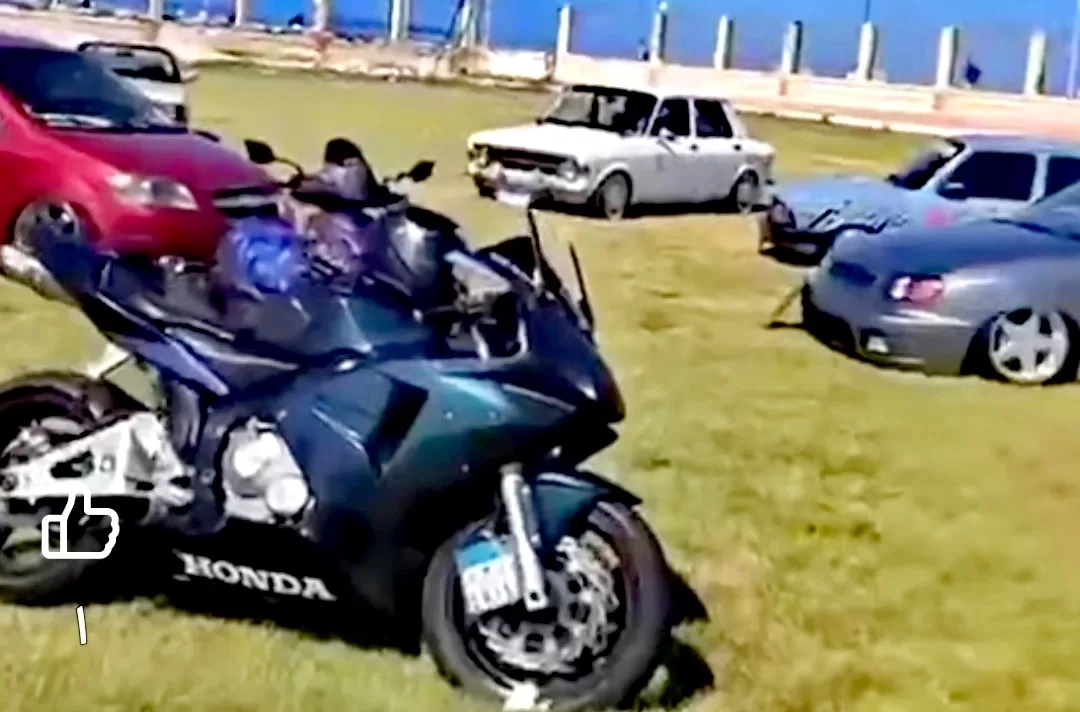 إتحاد شباب كفر الشيخ يختتم Baltim Stance Fest 2026 بنجاح كبير 19 - جريدة المساء