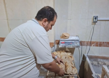 حملات رقابية على مخابز شوني وكفر الشرفاء بمركز طنطا تسفر عن تحرير 13 محضرًا 35 - جريدة المساء