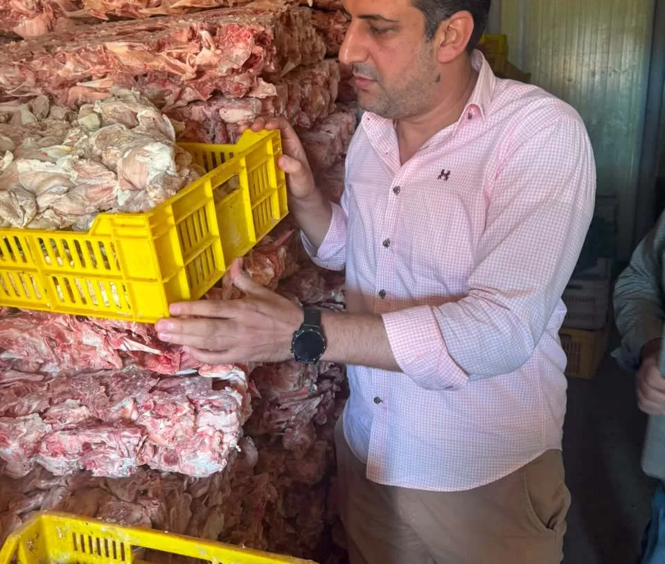 ضبط 3.75 طن دواجن فاسدة قبل طرحها باسواق بالغربية 18 - جريدة المساء ضبط 3.75 طن دواجن فاسدة قبل طرحها باسواق بالغربية 17 - جريدة المساء