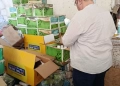 ضبط 1014 عبوة مبيدات منتهية الصلاحية في حملات مكثفة لحماية المزارعين بالغربية 19 - جريدة المساء