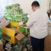 ضبط 1014 عبوة مبيدات منتهية الصلاحية في حملات مكثفة لحماية المزارعين بالغربية 1 - جريدة المساء