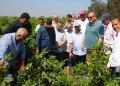 رئيس «البحوث الزراعية» يتفقد محطة بحوث الجميزة 20 - جريدة المساء رئيس «البحوث الزراعية» يتفقد محطة بحوث الجميزة 19 - جريدة المساء