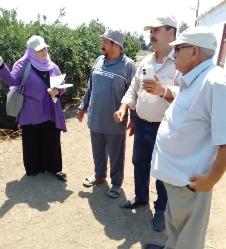 دعم المزارعين والحفاظ على سلامة المحاصيل الاستراتيجية وتطوير البنية التحتية الزراعيه بكفرالشيخ 19 - جريدة المساء