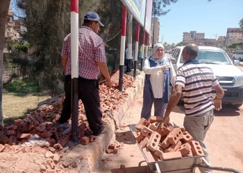 محافظ كفرالشيخ وجه بتطوير ورفع كفاءة دوران أبو يوسف والأرصفة بمدينة فوه ضمن مبادرة «جميلة يا بلدي» 25 - جريدة المساء