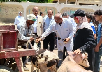 "الخدمات البيطرية": فحص وعلاج أكثر من 85 ألف رأس ماشية و75 ألف طائر خلال شهر 26 - جريدة المساء