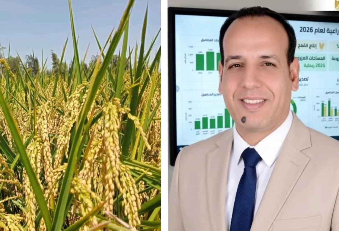 كمال : كفاءة استخدام المياه ..أهم قضايا مستقبل الأمن الغذائي 16 - جريدة المساء