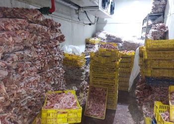 ضبط 28 طن لحوم وأغذية فاسدة و36 ألف زجاجة مشروبات طاقة مجهولة بالجيزة 17 - جريدة المساء