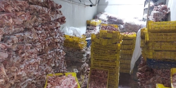 ضبط 28 طن لحوم وأغذية فاسدة و36 ألف زجاجة مشروبات طاقة مجهولة بالجيزة 1 - جريدة المساء