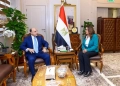 وزيرة التنمية المحلية والبيئة تناقش مع محافظ الغربية إجراءات تنفيذ وإحكام منظومة المخلفات بالمحافظة 21 - جريدة المساء