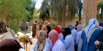 ضمن المبادرة الرئاسية "بلدك معاك" قافلة بيطرية مجانية لجامعة كفر الشيخ بقرية حصة الغنيمي 1 - جريدة المساء