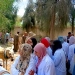 ضمن المبادرة الرئاسية "بلدك معاك" قافلة بيطرية مجانية لجامعة كفر الشيخ بقرية حصة الغنيمي 11 - جريدة المساء