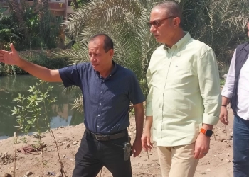 محافظة الجيزة: زراعة 3350 شجرة بأبو النمرس ضمن مبادرة «ازرع شجرة» 21 - جريدة المساء