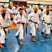 جامعة كفر الشيخ تصنع أبطال الغد كلية علوم الرياضة تجمع خبرات الكاراتيه المصرية والدولية في دورة تدريبية لصقل مهارات المدربين والحكام 5 - جريدة المساء