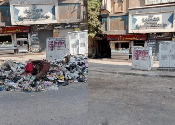 استجابة لشكاوي المواطنين.. حملة فورية من هيئة "نظافة الجيزة" ب6 أحياء (صور قبل وبعد) 25 - جريدة المساء