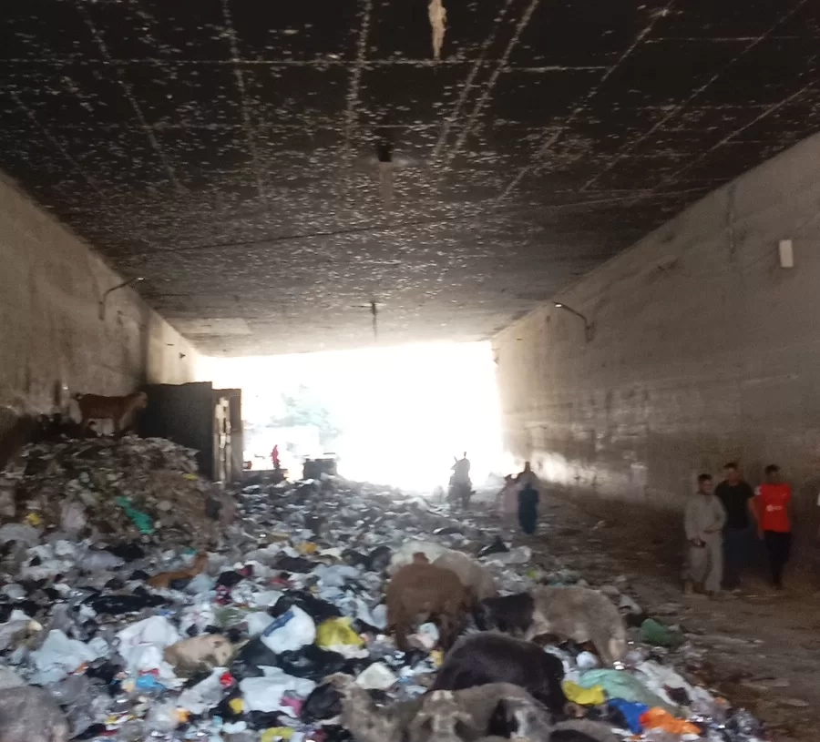 "نظافة الجيزة": 1200 طن "رتش" تحول نفق النجوم ببولاق الدكرور من مأوى للماشية لساحة آمنة للمشاة والسيارات 19 - جريدة المساء