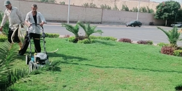 صيانة وتجميل ونباتات مزهرة.. "الجيزة" ترفع كفاءة محيط المتحف المصري الكبير ومدخل الأهرامات 1 - جريدة المساء