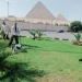 صيانة وتجميل ونباتات مزهرة.. "الجيزة" ترفع كفاءة محيط المتحف المصري الكبير ومدخل الأهرامات 3 - جريدة المساء