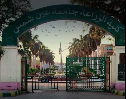 زراعة عين شمس تفتح باب التقديم لبرامج الدراسات العليا 18 - جريدة المساء زراعة عين شمس تفتح باب التقديم لبرامج الدراسات العليا 17 - جريدة المساء