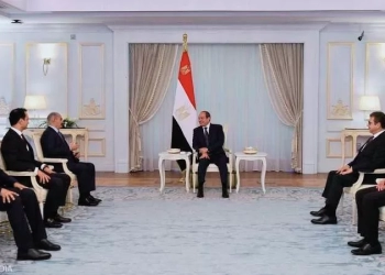 لقاء السيسي وحفتر يؤسس لمرحلة جديدة من الشراكة المصرية الليبية 26 - جريدة المساء