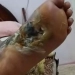 همسة لوزير الصحة 3 - جريدة المساء