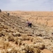 الصين تنظم دورة تدريبية متخصصة في تقنيات مكافحة التصحر للدول العربية 4 - جريدة المساء الصين تنظم دورة تدريبية متخصصة في تقنيات مكافحة التصحر للدول العربية 3 - جريدة المساء
